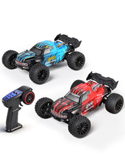 WLTOYS 244018 1/24 Scale 2WD RC Car 30Km/h Off-Road Climbing Car With Gyro Cruise Control Drift Racing Toy