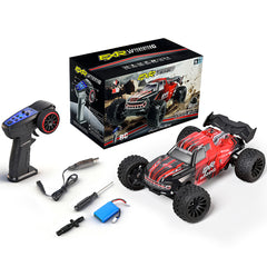 WLTOYS 244018 1/24 Scale 2WD RC Car 30Km/h Off-Road Climbing Car With Gyro Cruise Control Drift Racing Toy