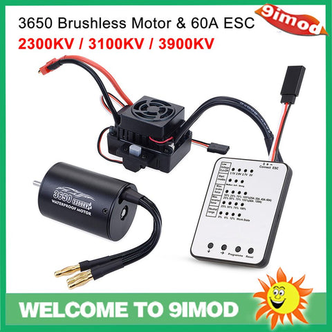Waterproof 3650 2300KV 3100KV 3900KV Brushless Motor 60A ESC