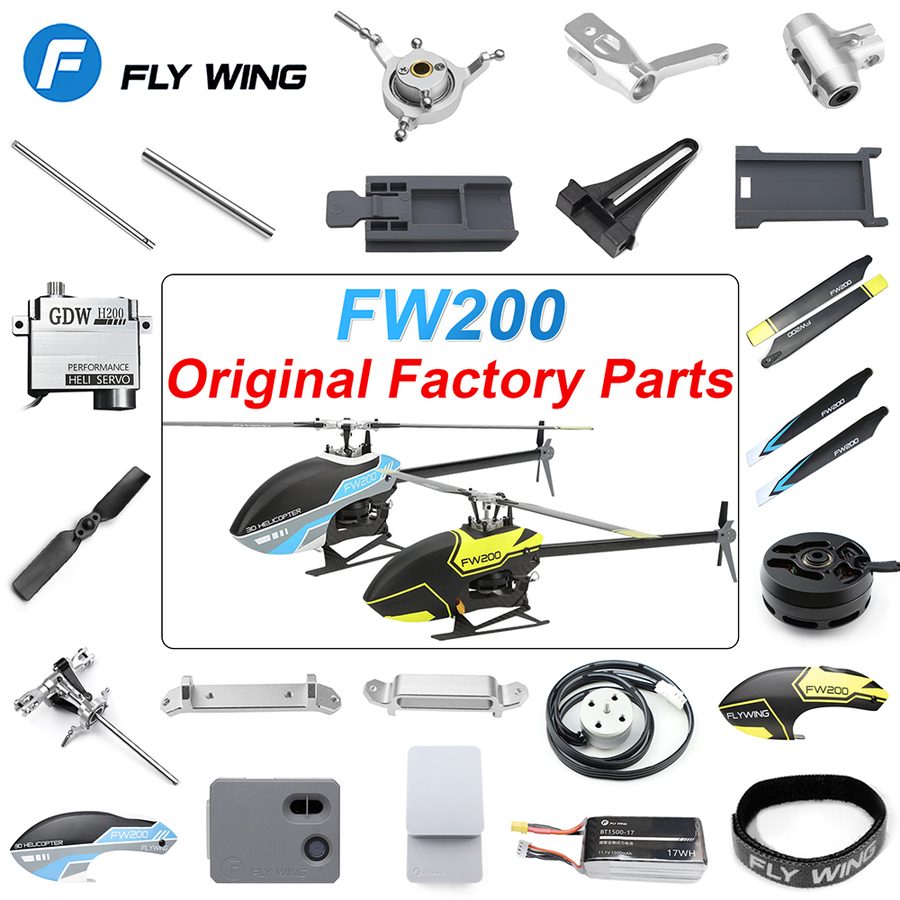 Fly Wing FW200
